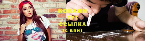 крисы Новозыбков