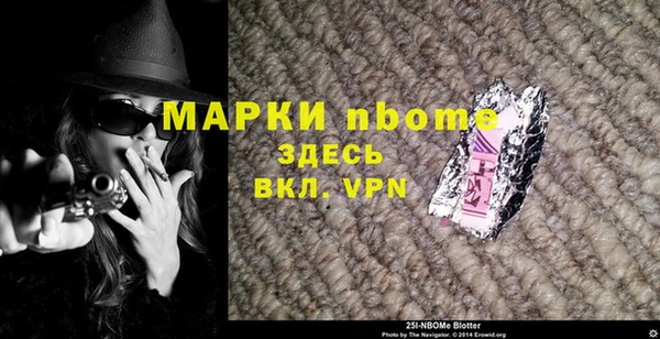 крисы Новозыбков
