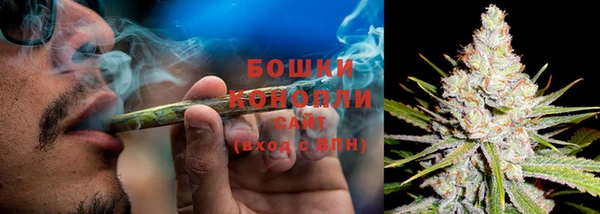 марихуана Новокубанск