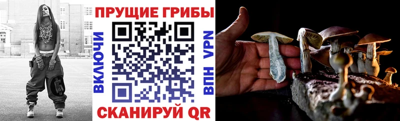 Псилоцибиновые грибы прущие грибы  Карталы 
