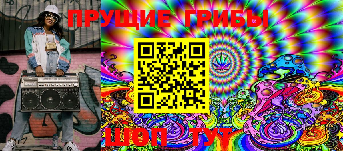 Псилоцибиновые грибы GOLDEN TEACHER Карталы