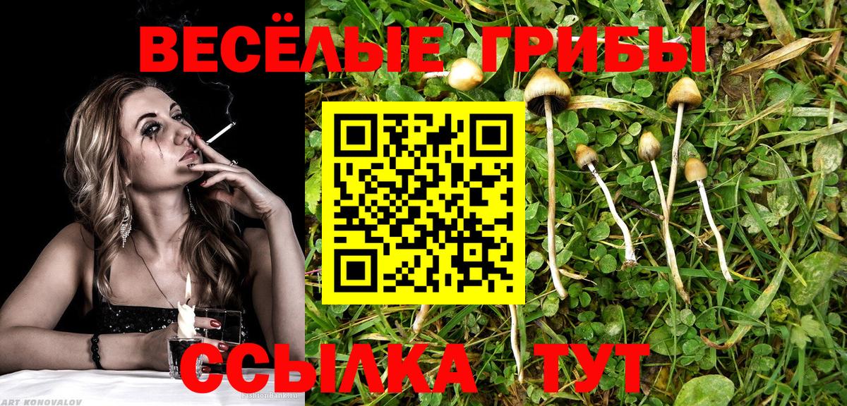 Лсд 25  Вход с VPN  Меф МЯУ МЯУ кристаллы  Каннабис  ГАШ  Канабис  Cocaine  Карталы  Вейп ТГК 